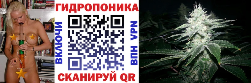 Бошки марихуана OG Kush Горняк